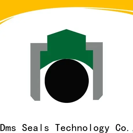DMS Seal Manufacturer Top shaft seal catalog for business for automotive equipment 1