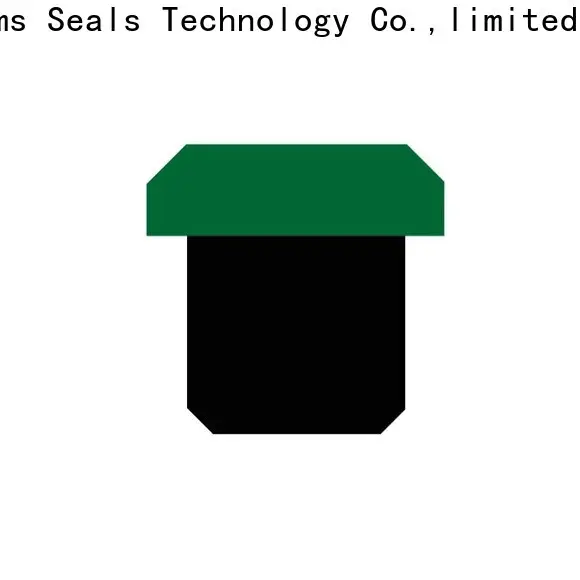 DMS Seal Manufacturer Latest piston oil seal for sale 1