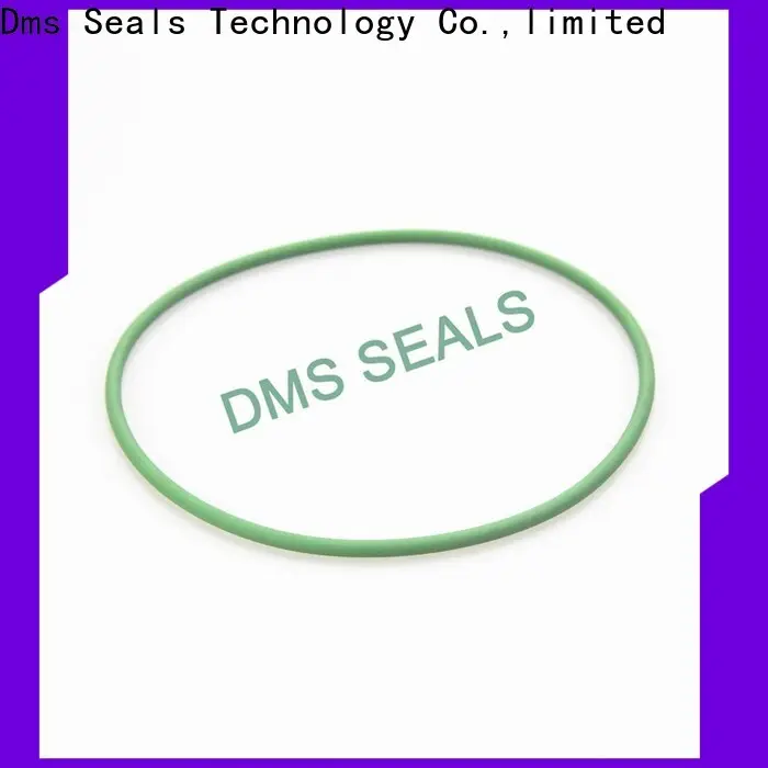 Latest clear rubber ring for business in highly aggressive chemical processing 1