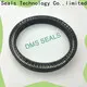 DMS Seal Manufacturer mechanical seal problems company for reciprocating piston rod or piston single acting seal 1