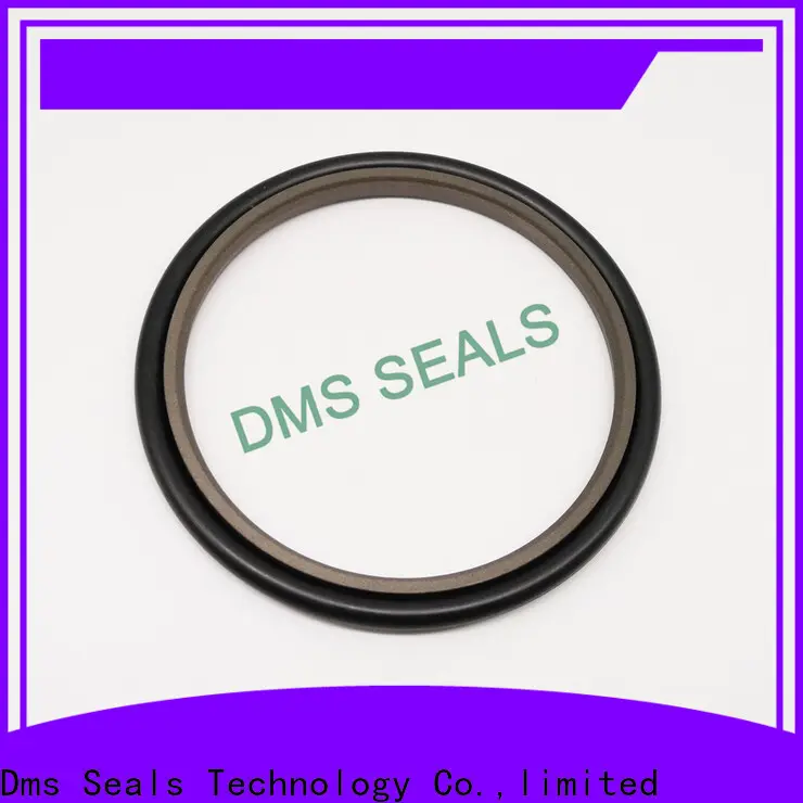 DMS Seal Manufacturer compact crane mechanical seals o ring for larger piston clearance 1