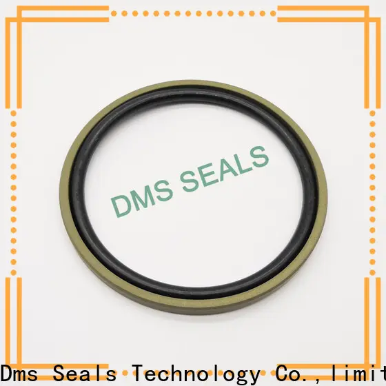 DMS Seal Manufacturer mechanical seal presentation glyd ring for piston and hydraulic cylinder 1
