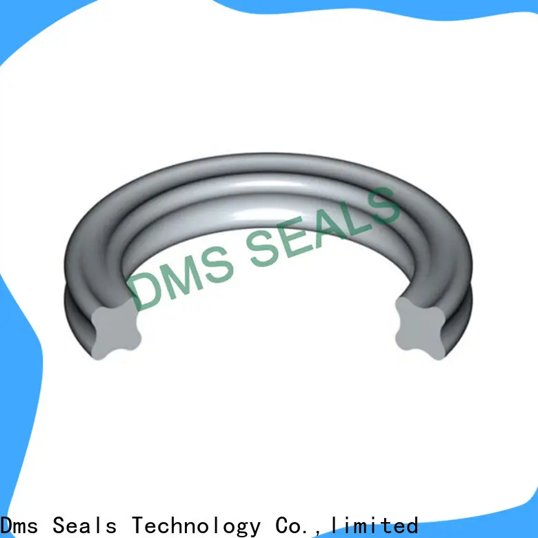DMS Seal Manufacturer 7 inch rubber o ring company in highly aggressive chemical processing 1