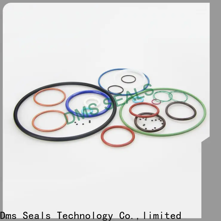 DMS Seal Manufacturer Wholesale 6 inch rubber o ring in highly aggressive chemical processing 1