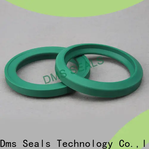 DMS Seal Manufacturer industrial seals manufacturers o ring 1