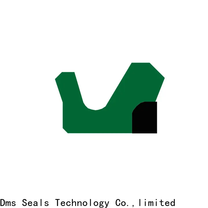DMS Seal Manufacturer rod seal tool factory to high and low speed 1