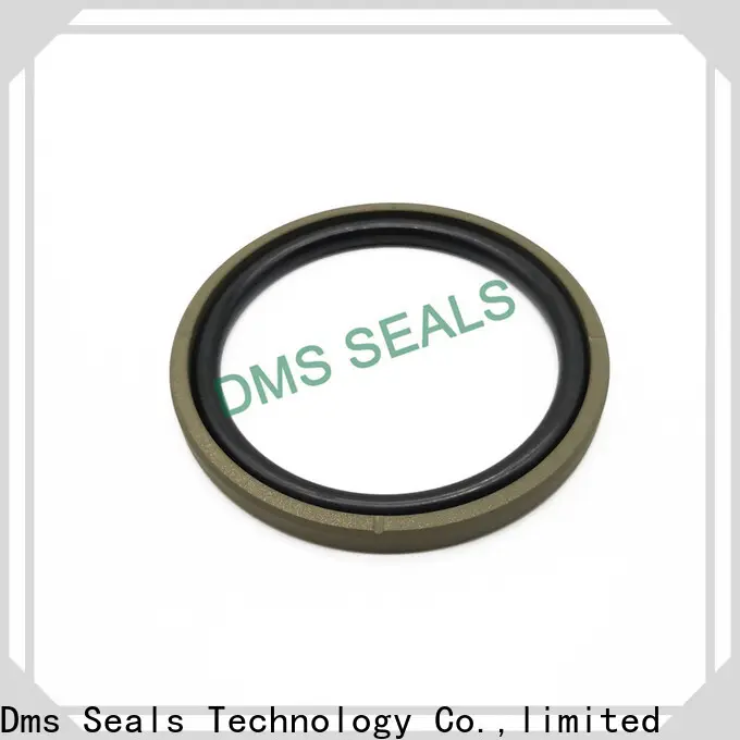 DMS Seal Manufacturer Wholesale hydraulic cylinder piston rings with nbr or fkm o ring for sale 1