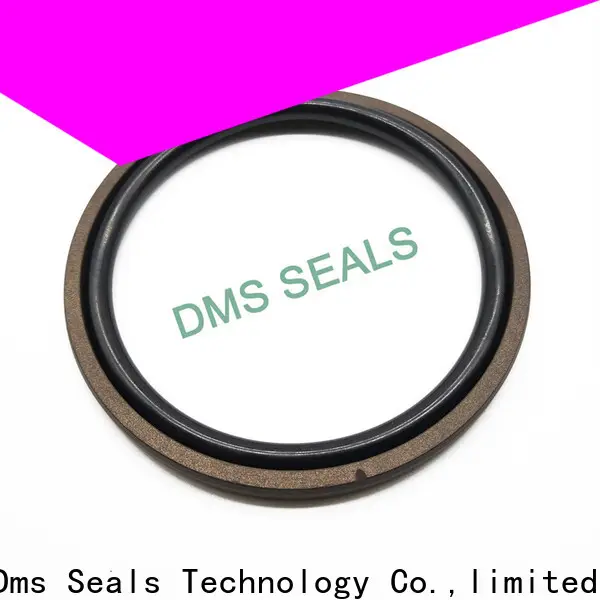 DMS Seal Manufacturer rod seal tool factory for light and medium hydraulic systems 1