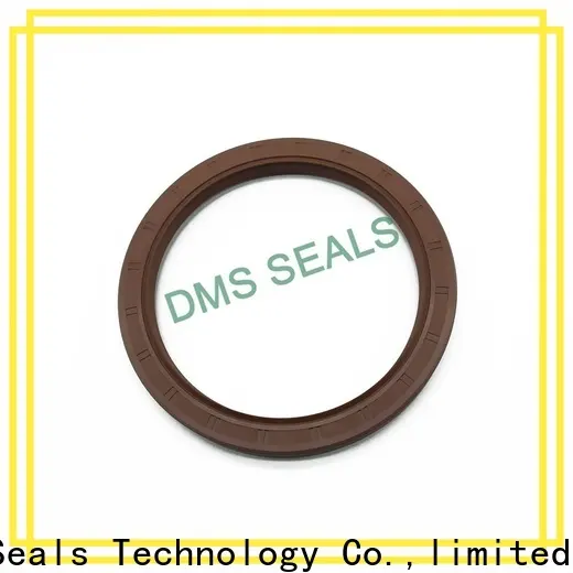 DMS Seal Manufacturer modern strong shaft seals with integrated spring for housing 1