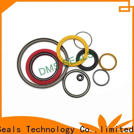 Best loaded lip seal for aviation 1