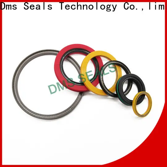 DMS Seal Manufacturer Custom loaded lip seal manufacturers for reciprocating piston rod or piston single acting seal 1