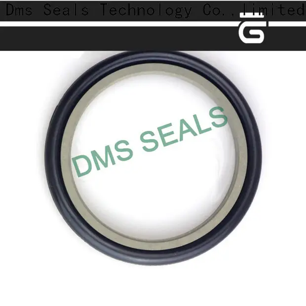 DMS Seal Manufacturer compact rubber seal strip suppliers supplier for larger piston clearance 1