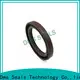 DMS Seal Manufacturer metric lip seals with a rubber coating for sale 1