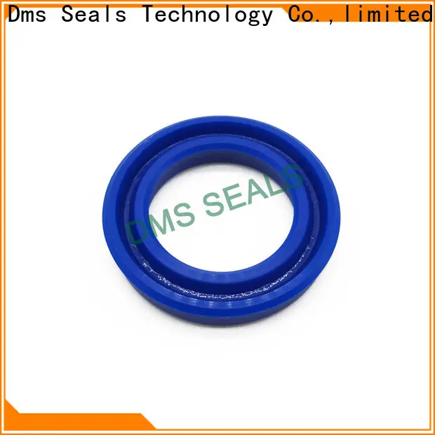 DMS Seal Manufacturer manufacture of seals glyd ring 1