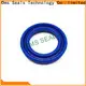 DMS Seal Manufacturer manufacture of seals glyd ring 1