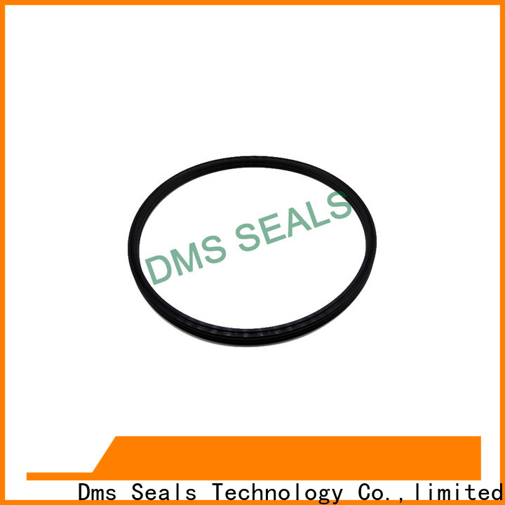 Hot Sale Buy Mechanical Seal O Ring | DMS Seal Manufacturer
