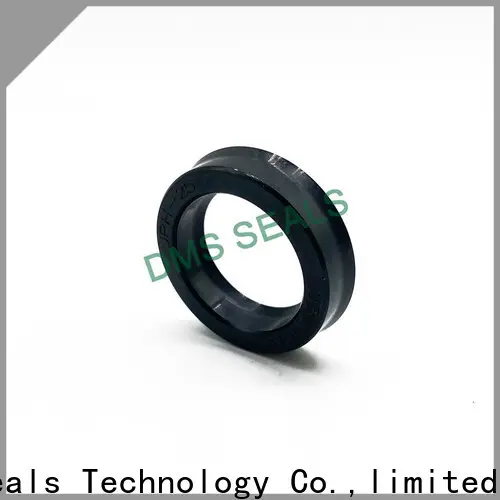 DMS Seal Manufacturer hot sale seal caps manufacturer supplier for piston and hydraulic cylinder 1
