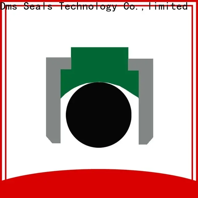 DMS Seal Manufacturer wholesale oil seals with nbr or fkm o ring for pneumatic equipment 1