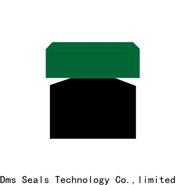 DMS Seal Manufacturer cheap oil seals glyd ring for light and medium hydraulic systems 1