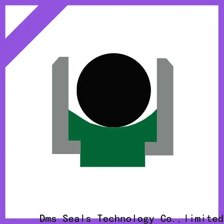 DMS Seal Manufacturer air cylinder piston seals Suppliers to high and low speed 1