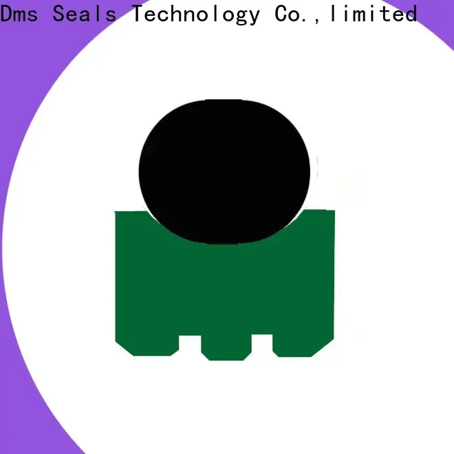 DMS Seal Manufacturer High-quality lip seal function for business for construction machinery 1