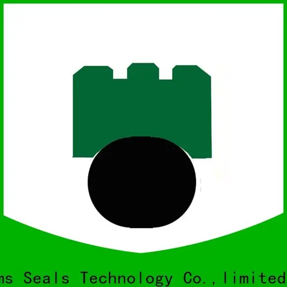 DMS Seal Manufacturer lip seal function manufacturers for automotive equipment 1