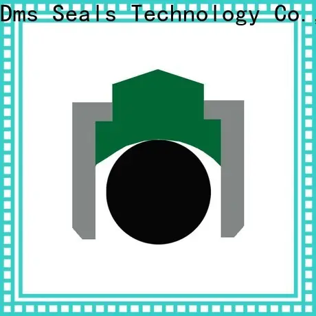 DMS Seal Manufacturer factory for construction machinery 1
