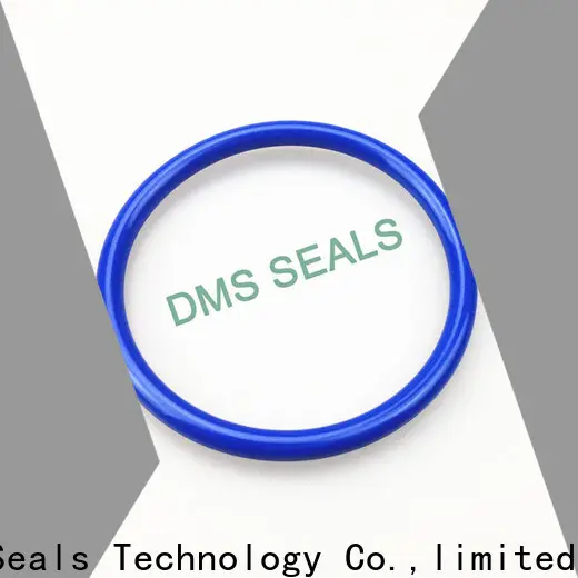 DMS Seal Manufacturer gasket o ring seal Supply in highly aggressive chemical processing 1