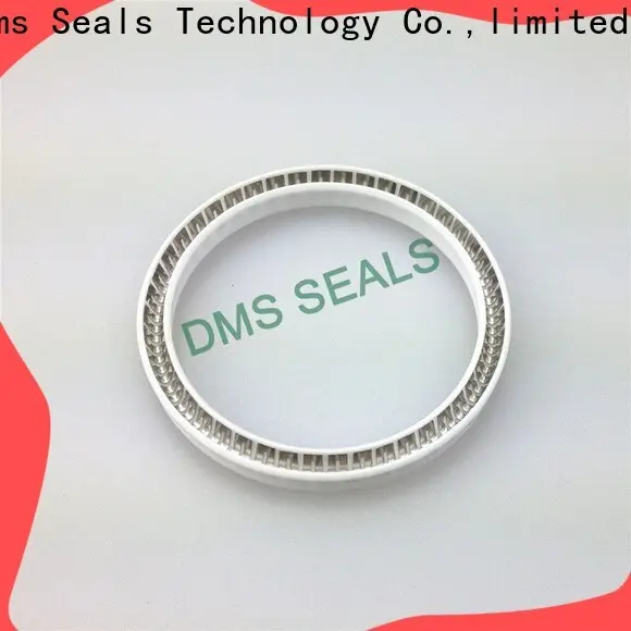 Custom spring energized seals Supply for aviation 1