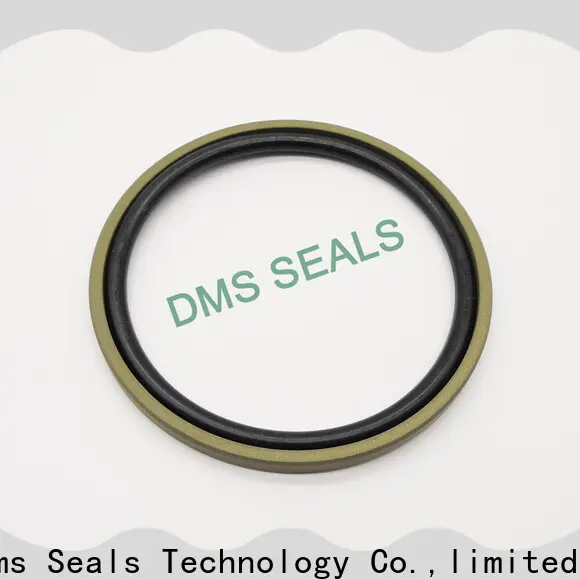 DMS Seal Manufacturer custom hydraulic seals catalogue o ring for piston and hydraulic cylinder 1