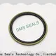 DMS Seal Manufacturer custom hydraulic seals catalogue o ring for piston and hydraulic cylinder 1