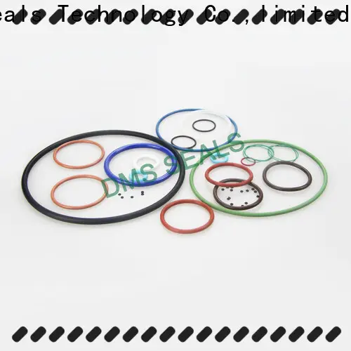DMS Seal Manufacturer round rubber ring for business for static sealing 1