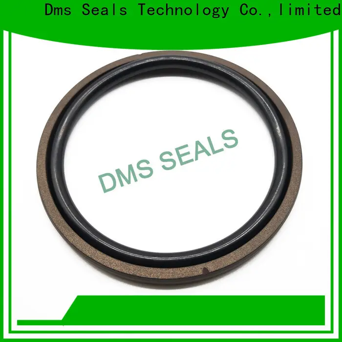 DMS Seal Manufacturer hydraulic cylinder gaskets factory for pneumatic equipment 1