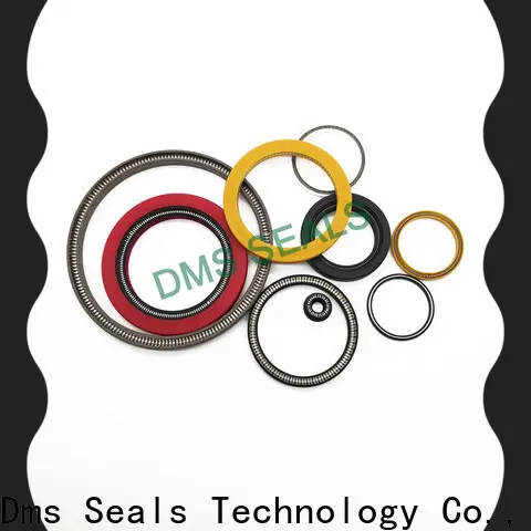 DMS Seals Best spring loaded double lip seal for business for aviation 1