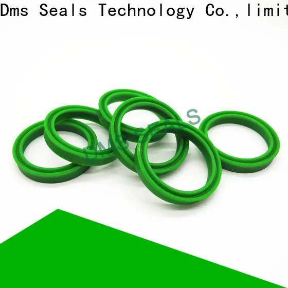DMS Seals hydraulic seals catalogue glyd ring 1