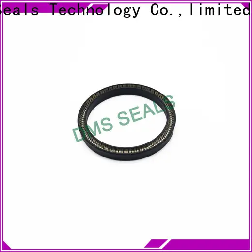 DMS Seals mechanical seal arrangement Supply for aviation 1