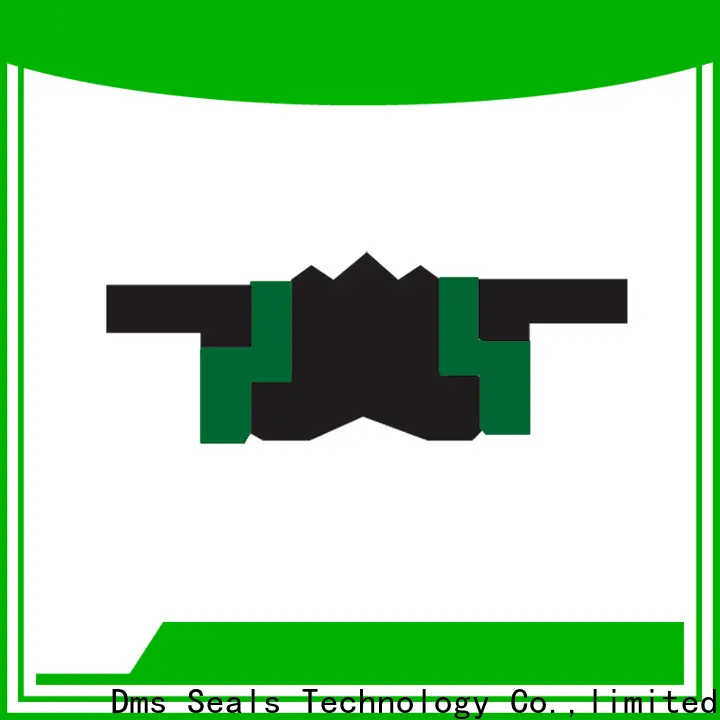 DMS Seals hydraulic seals distributors Supply for pneumatic equipment 1