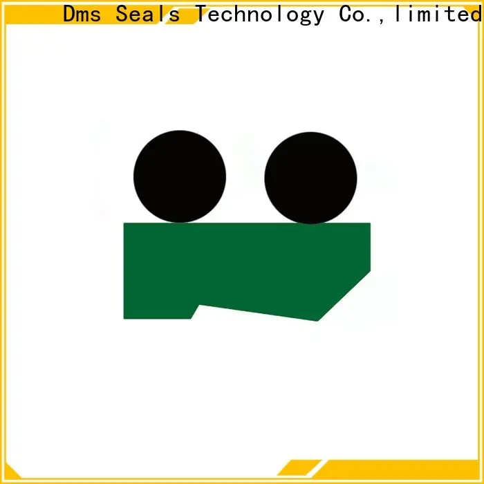 DMS Seals Best cylinder oil seal for business for forklifts 1