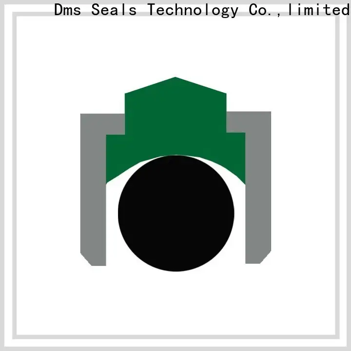 DMS Seals dripless shaft seal replacement factory for construction machinery 1