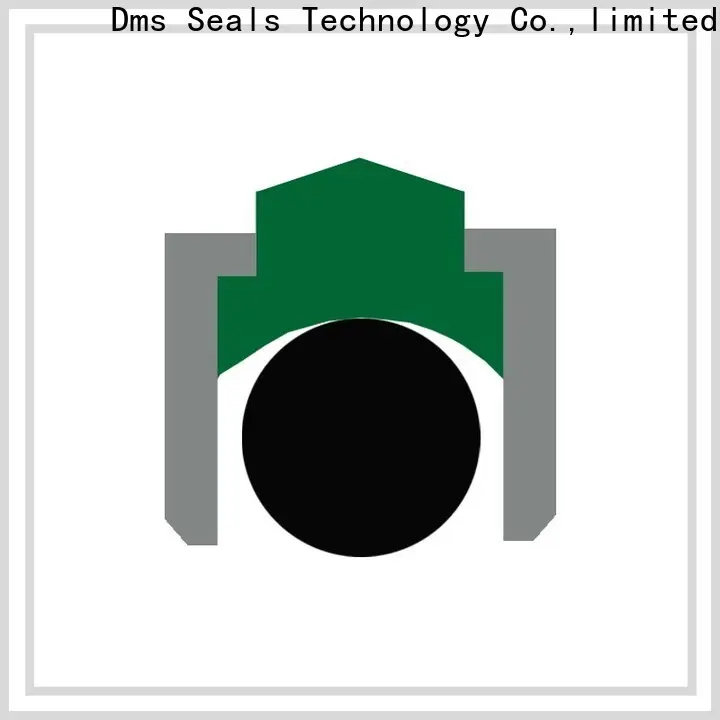 DMS Seals dripless shaft seal replacement factory for construction machinery 1