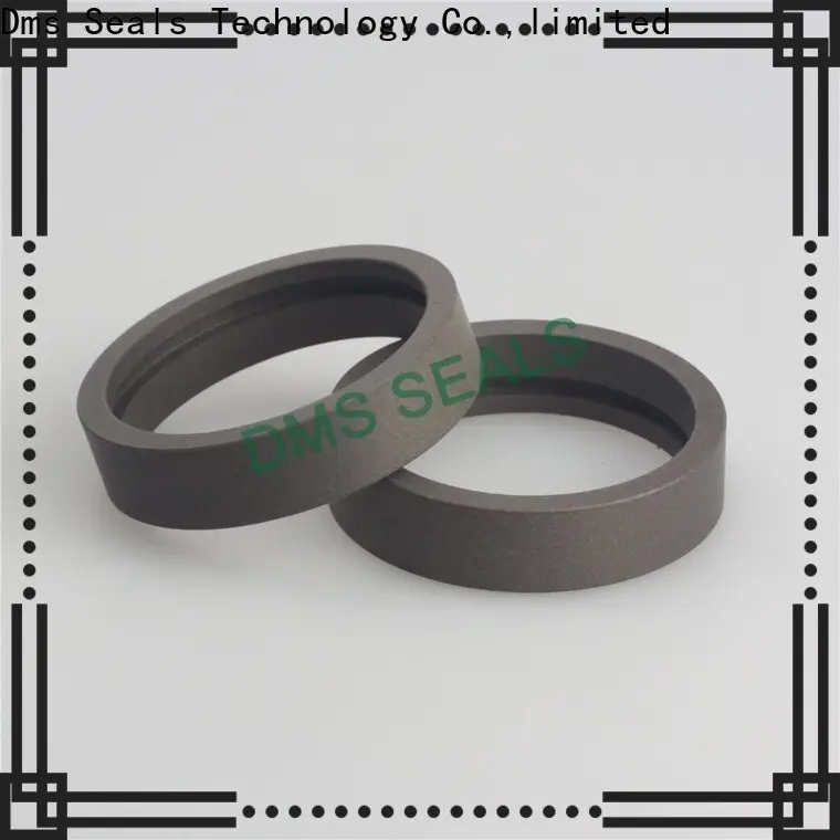 DMS Seals encased ball bearings for business for sale 1