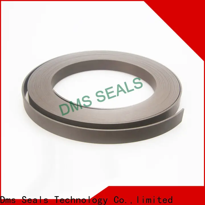 DMS Seals mini roller bearings guide strip for sale 1