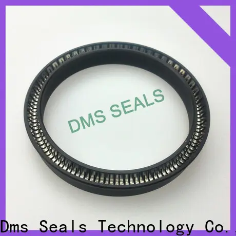 DMS Seals crane mechanical seals for business for reciprocating piston rod or piston single acting seal 1