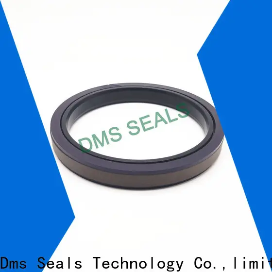 DMS Seals seal caps manufacturer wholesale for piston and hydraulic cylinder 1
