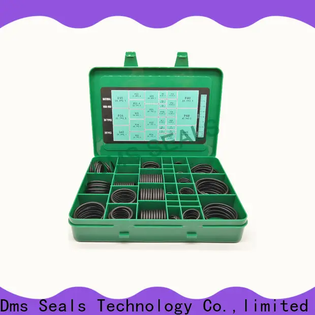 DMS Seals high quality bs111 o ring Suppliers For sealing products 1
