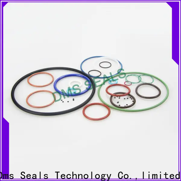 Latest o ring catalogue metric manufacturers in highly aggressive chemical processing 1
