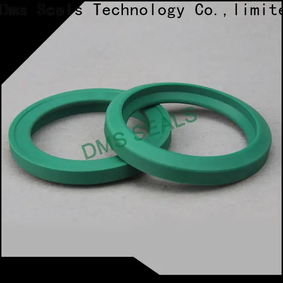 DMS Seals flex seal manufacturer o ring for piston and hydraulic cylinder 1