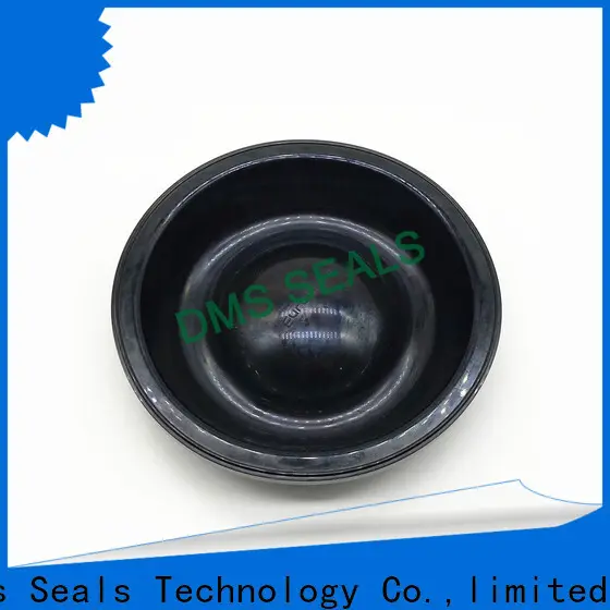 DMS Seals viton rubber edge sealing strip manufacturers for high pressure 1