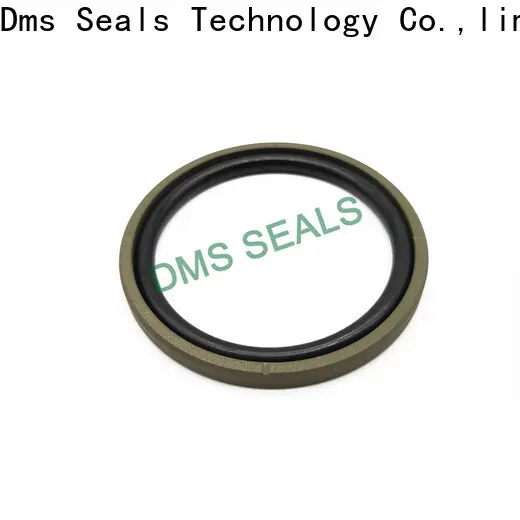 DMS Seals hydraulic seal design company for pneumatic equipment 1