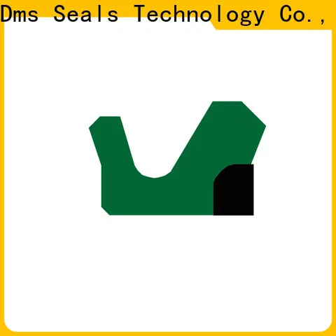 DMS Seals Top piston rod seal with nbr or fkm o ring to high and low speed 1